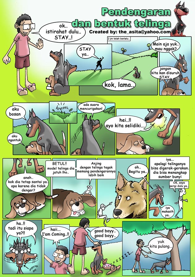 Anjing (Indera Pendengaran)