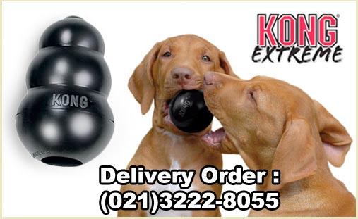 KONG Extreme Untuk Anjing Pitbull