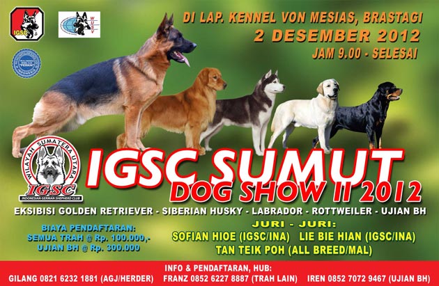 IGSC SUMUT Dog Show II