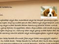 Mau Pelihara Anjing? Baca Surat Ini 