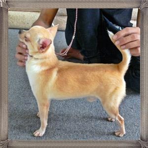 K.Gordy Von Rayrainbow