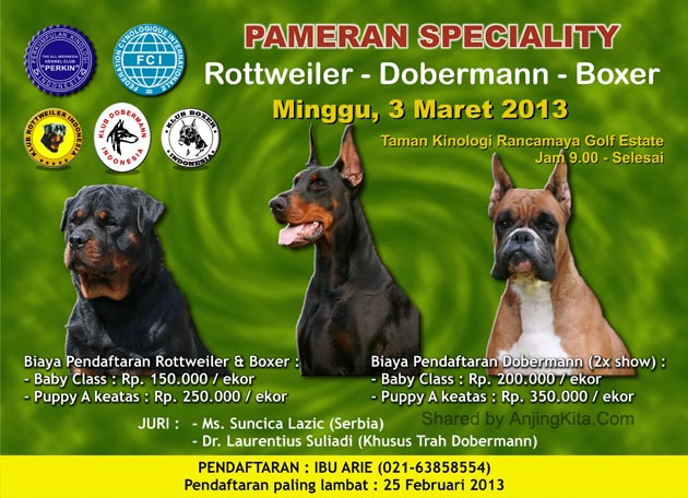 Pameran Anjing Rottweiler, Dobermann & Boxer