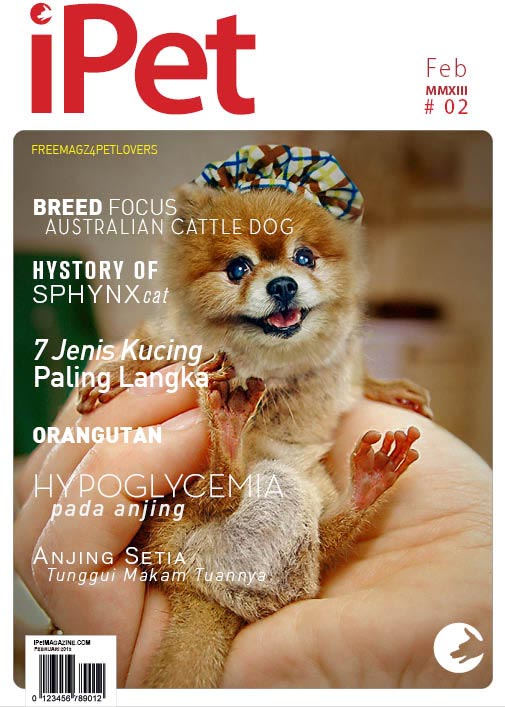Indeks iPets Edisi 2 Februari 2013