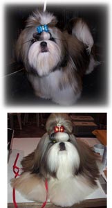 Multiple Ru. BPIG. TH. CH. Bigbell's Fully Reload Of Smile (Matrix)