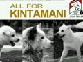 All For Kintamani