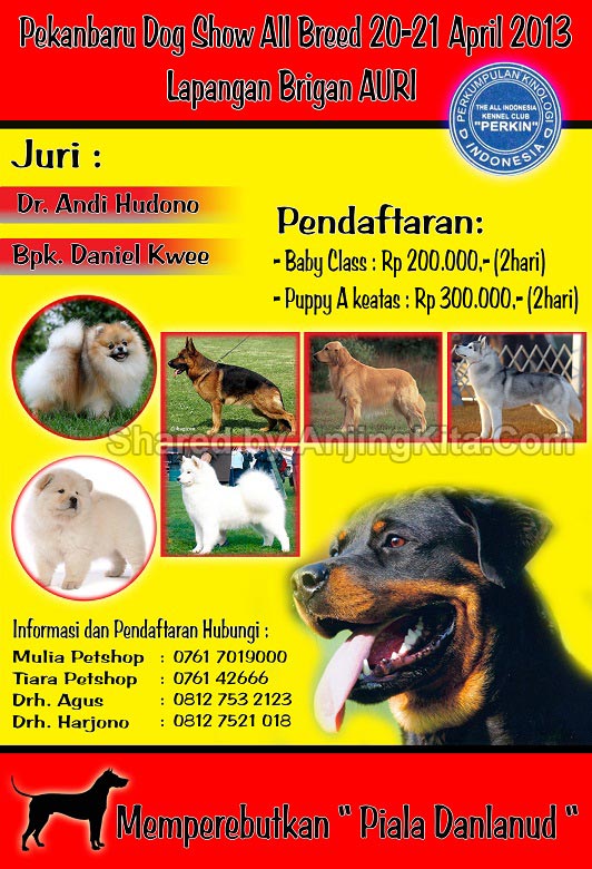 Pekanbaru Dog Show 2013