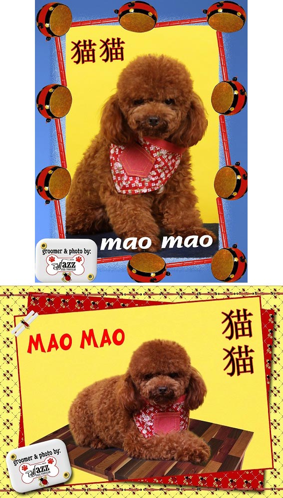 Kraftram Of Pet Club Fci (Mao Mao)