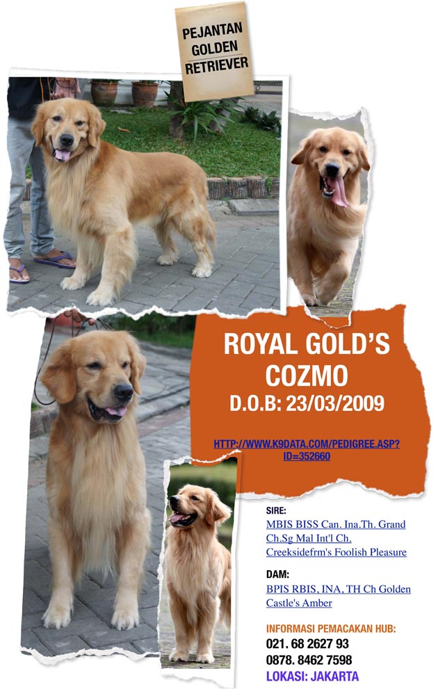 Royal Gold�s Cozmo
