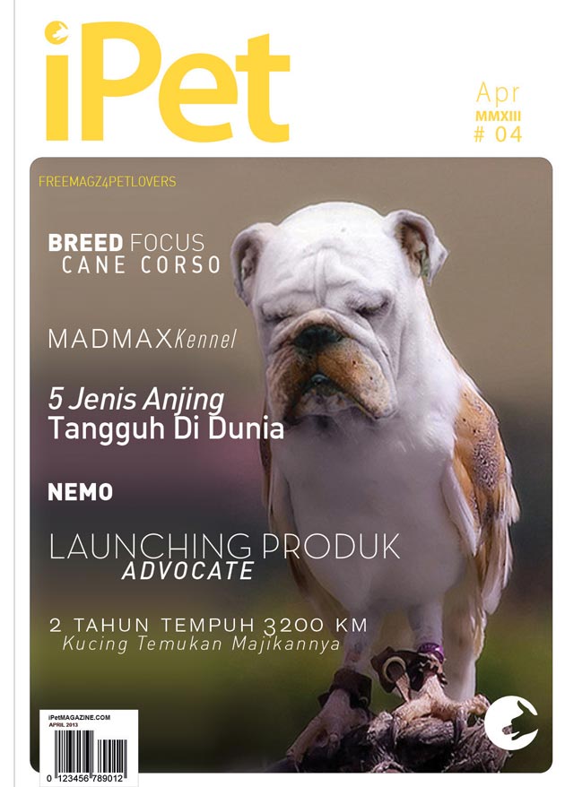 INDEKS iPet Magazine Edisi #4 (April 2013)