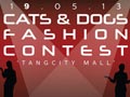 Cat's & Dog's Fashion Competition