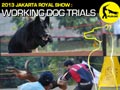 The Indonesia Agility Club Chapter DKI Jaya