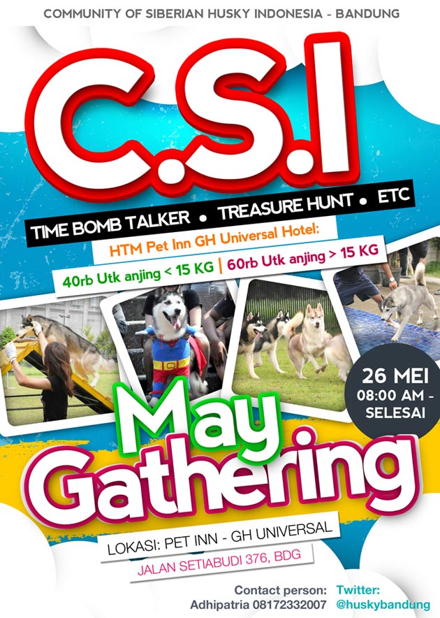 CSI May Dog Gathering