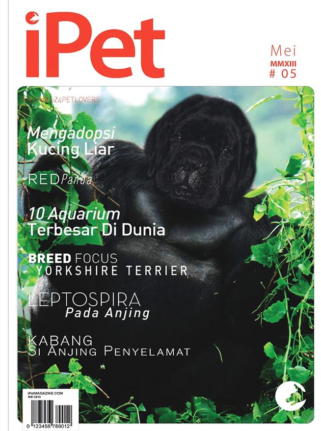 iPet Magazine EDISI 5 #Mei 2013