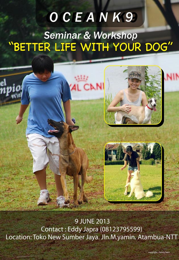 Seminar Anjing Pintar Di Atambua-NTT