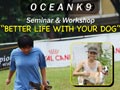 Seminar Anjing Pintar Di Atambua-NTT