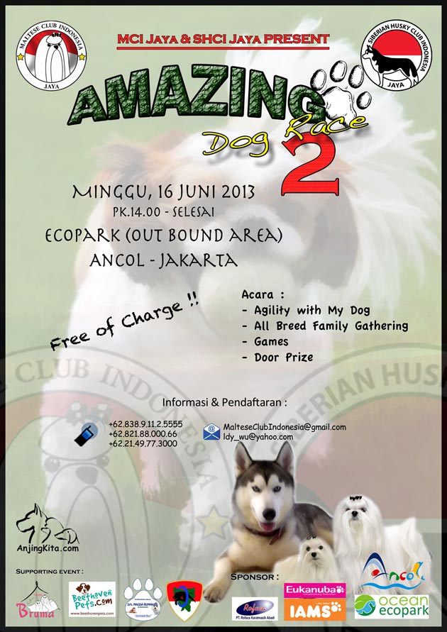 Amazing Dog Race 2 By MCI & SHCI Jaya