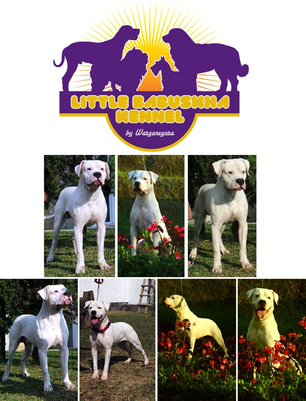 Little Babuskha Dogo Kennel 