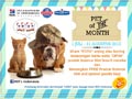 Pet Of The Month