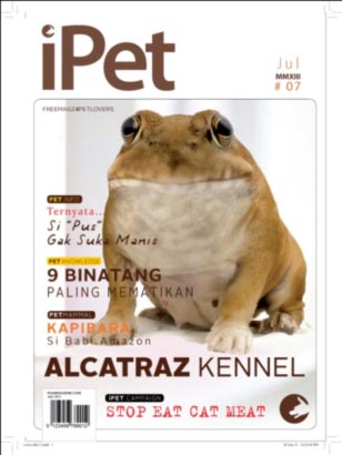 Indeks Edisi 7 Ipet Magazine