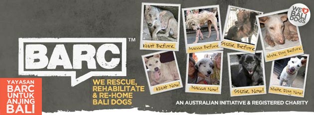 Yayasan BARC Untuk Anjing Bali