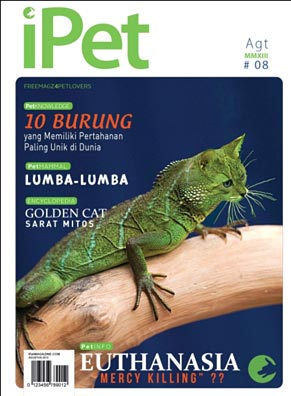 Indeks Edisi 8 iPet Magazine