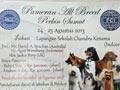 Pameran Anjing : Perkin Medan All Breed Dog Show 2013
