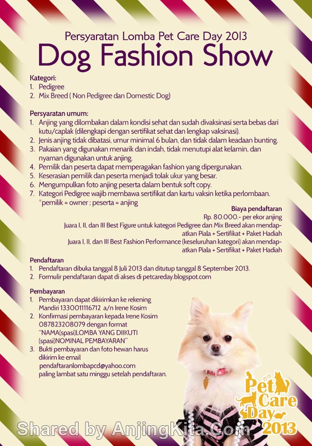 Pet Care Day 2013