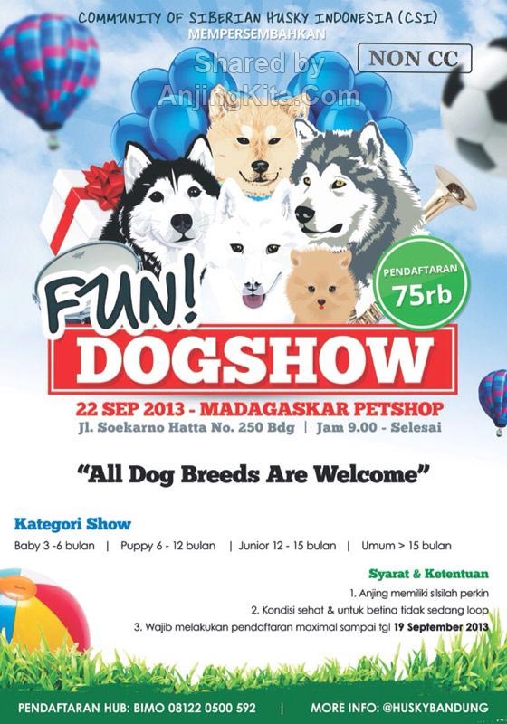 Fun Dog Show (Non CC) @ Madagaskar Pet Shop