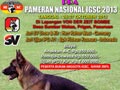 PRAPAMNAS IGSC 2013