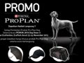 Promo PURINA PRO PLAN Jakarta Dog Show