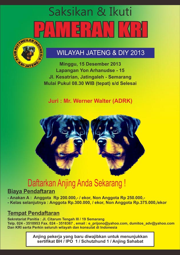 Pameran Anjing Rottweiler Semarang