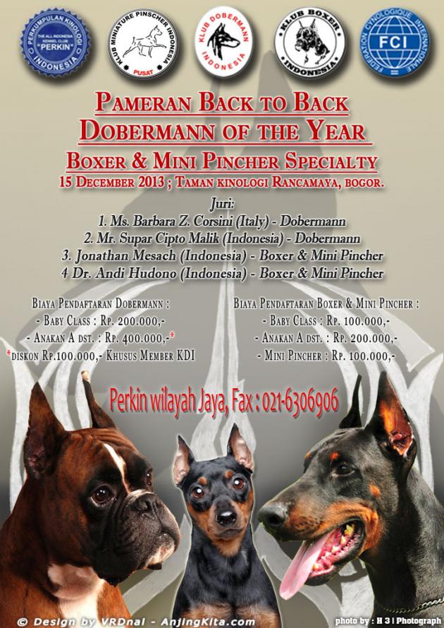 Pameran Anjing Dobermann, Boxer dan Mini Pincher