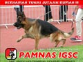 Pameran Anjing Herder Nasional