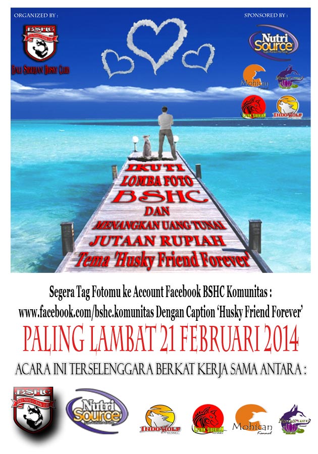 Lomba Foto Siberian Husky