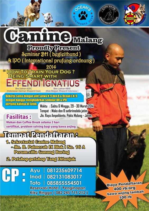 How To Train Your Dog With Canine Malang