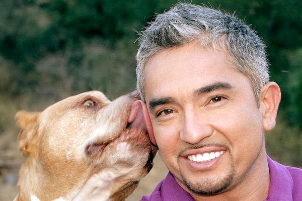 Takut Dengan Anjing? 