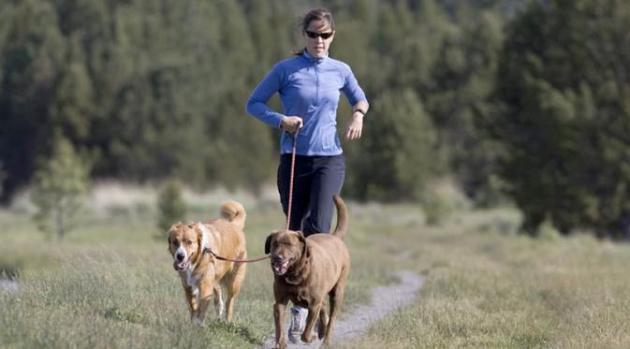 Bosan Ngegym, Pelihara Anjing Saja