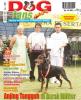 DOGfans News edisi 67/Januari 2007