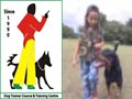 Chambaraya Dog Trainer Course & Dog Training Centre