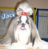 Whispering Hope Win Spectacular �Jack�