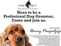 PETPET International Pet Teraphy & Grooming Academy