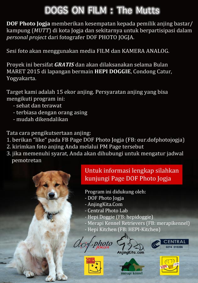 Dogs On Film: The Mutts