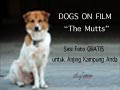 Dogs On Film: The Mutts