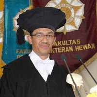 Metode Baru Kendalikan Populasi Anjing Liar