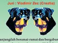 Pameran Anjing Rottweiler Jawa Timur 2015