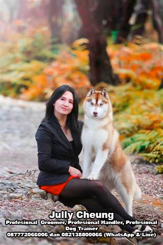 Jully Cheung - Profesional Groomer, Handler & Dog Trainer