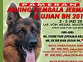 Pameran Anjing Herder & Ujian BH Medan 2015