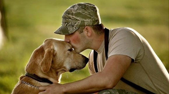 Anjing Dilatih Untuk Penyembuhan Stres Tentara