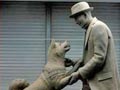 Hachiko Akhirnya Bertemu Dengan Tuannya