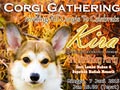 Corgi Gathering @ The Breeze BSD City